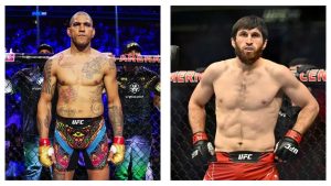 alex pereira vs magomed ankalaev
